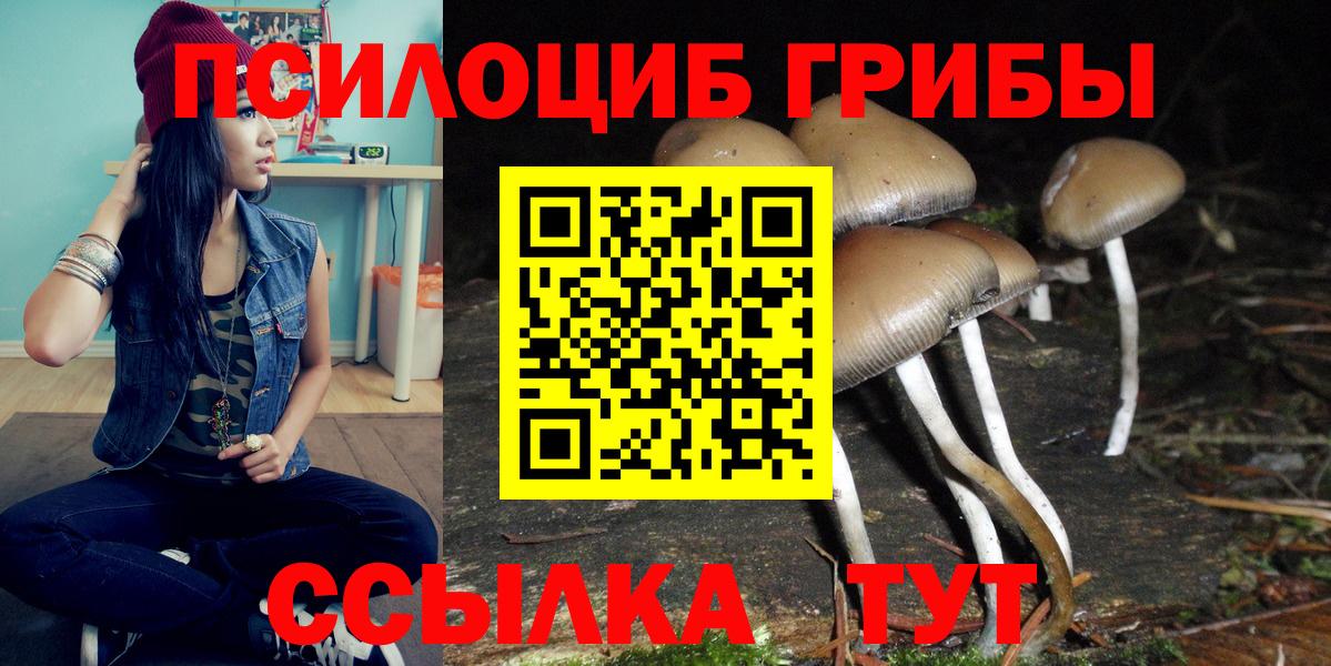 Новый Уренгой  Псилоцибиновые грибы прущие грибы  Вход с VPN 